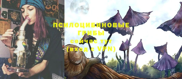 mdma Вяземский